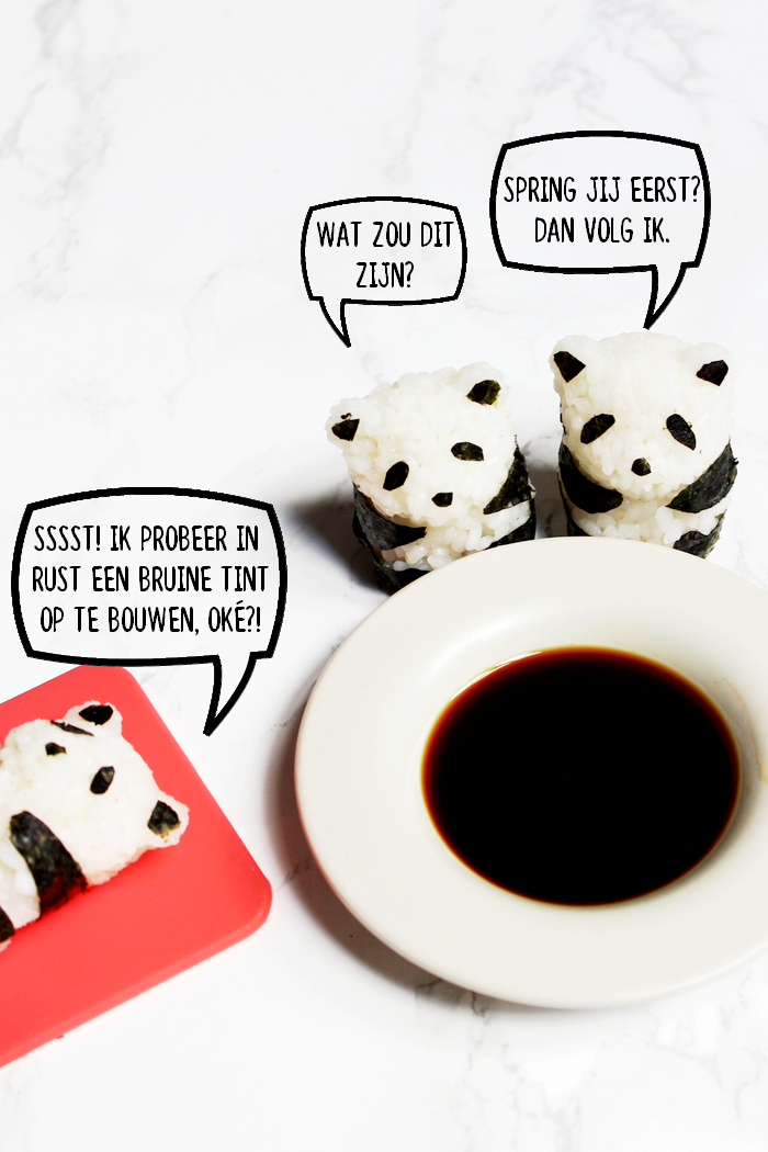 Panda van sushirijst3(1)