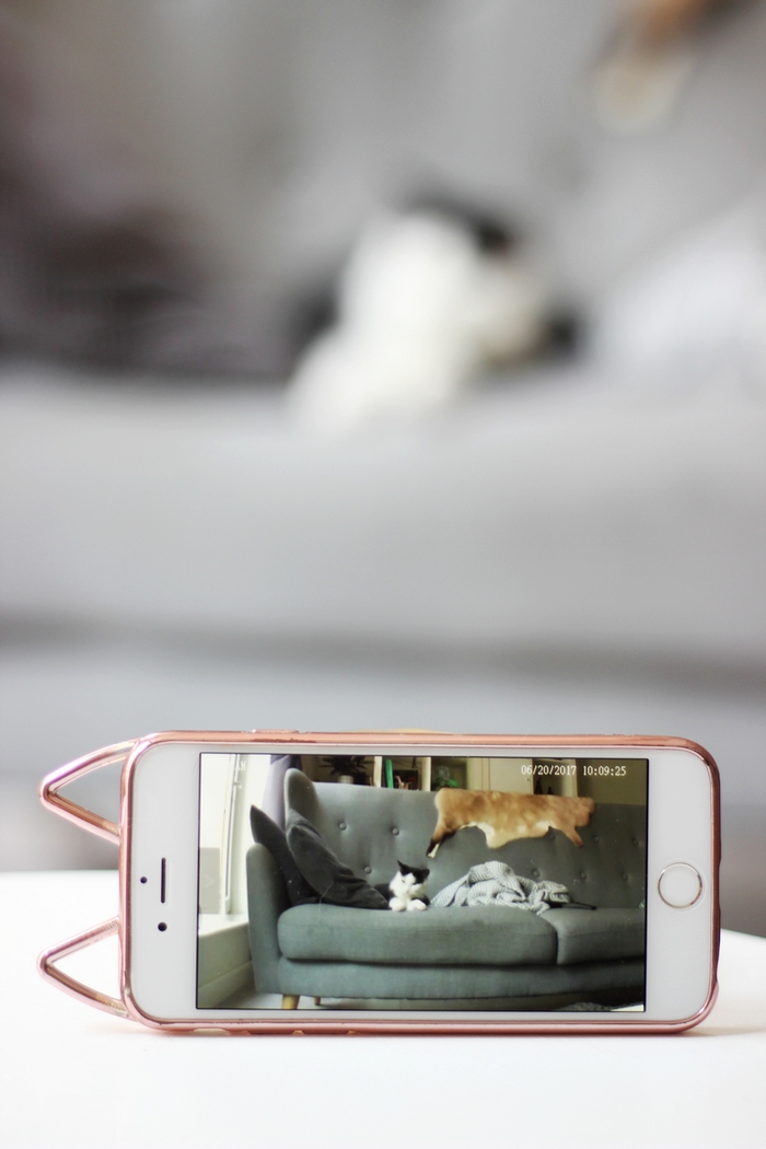 sannce home security ip camera review bewakingscamera voor huisdieren