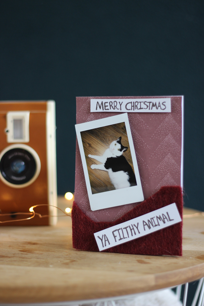 kerstkaarten christmas cards funny christmas card diy do it yourself cat cats radbag