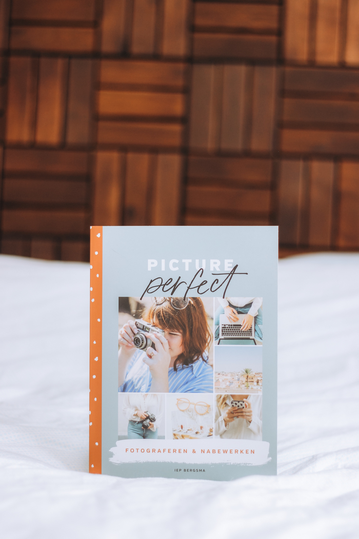 picture perfect iep bergsma fotografieboek fotgrafie boek fotograferen tips recensie review kosmos uitgevers
